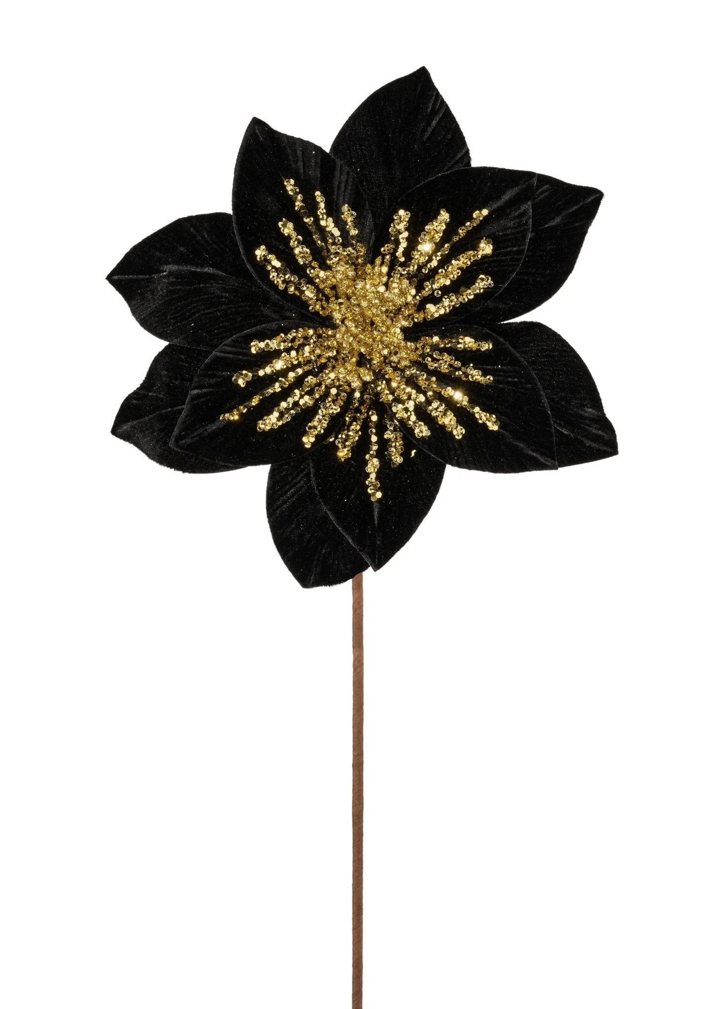 11" Dia Black/Gold Velvet Glitter Poinsettia