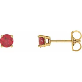 14K Yellow 4 mm Lab-Grown Ruby Stud Earrings