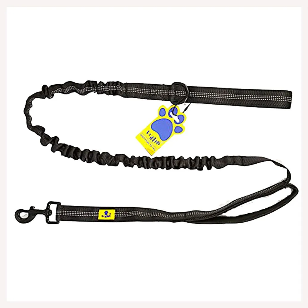 A a Pets' Dual Handle Bungee Leash - Black