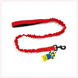 A a Pets' Heavy Duty Bungee Leash - Red