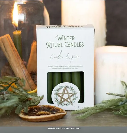 A pack of 12 Winter Ritual candles in a Cedar and Pine fragrance.