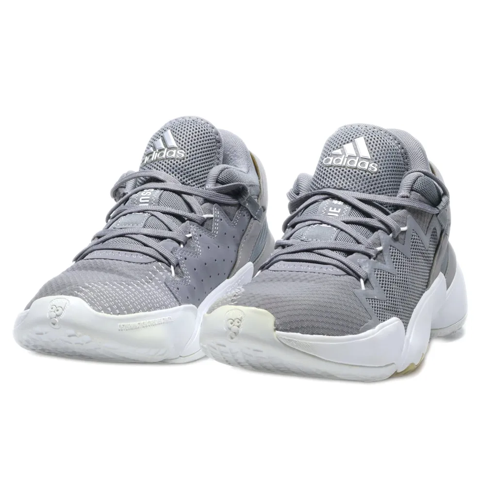 Adidas D.O.N. Issue #2 Sport Shoes Fabric Grey Colour For Men