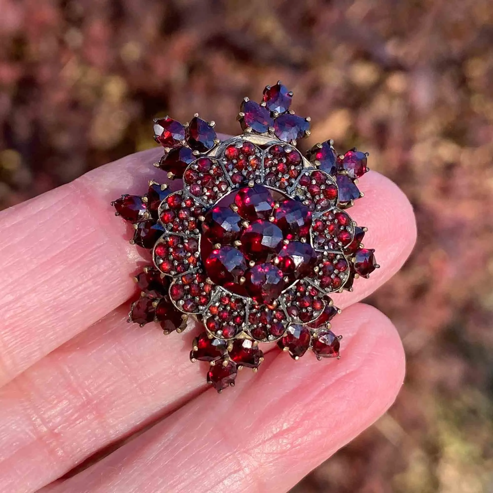 Antique Victorian Garnet Snowflake Brooch Pin