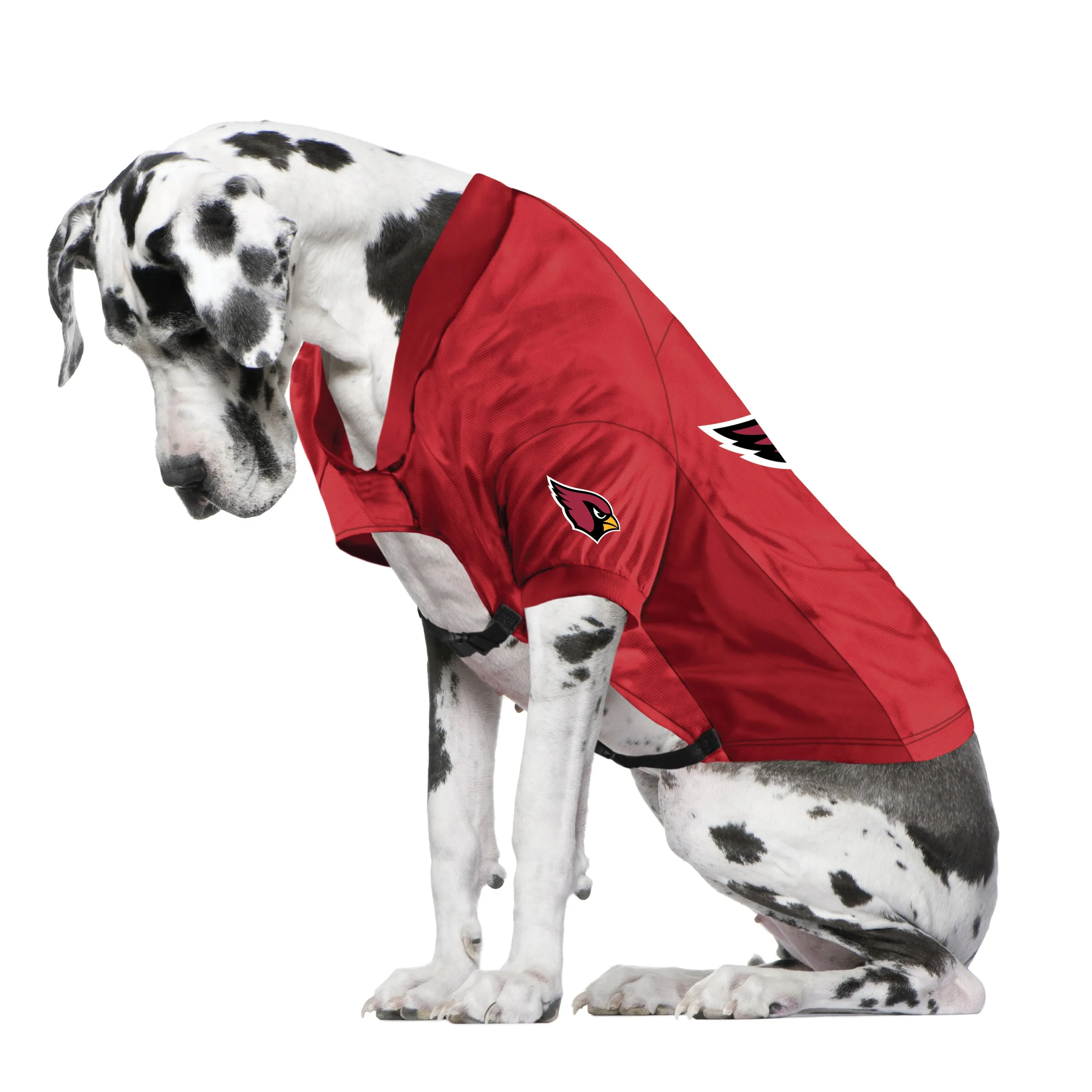 Arizona Cardinals Big Custom Pet Stretch Jersey