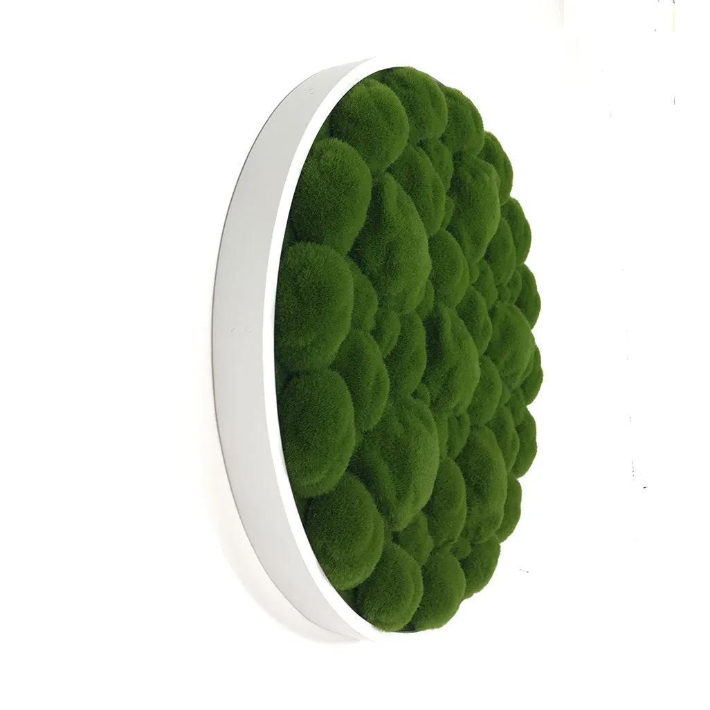 Artificial bun moss wall circular art panel MDF White - 50cm