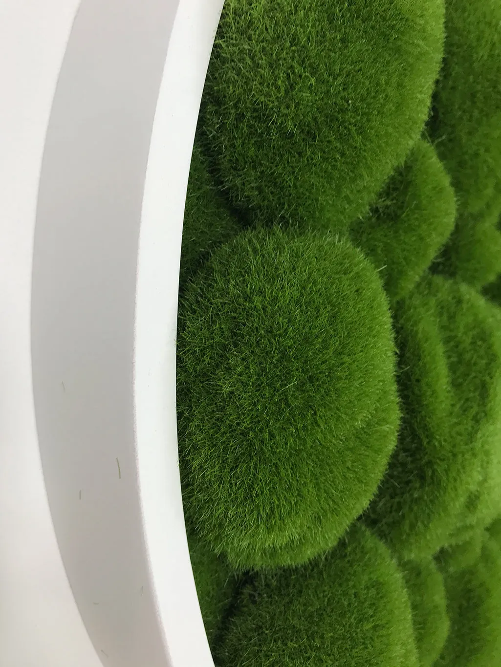 Artificial bun moss wall circular art panel MDF White - 50cm