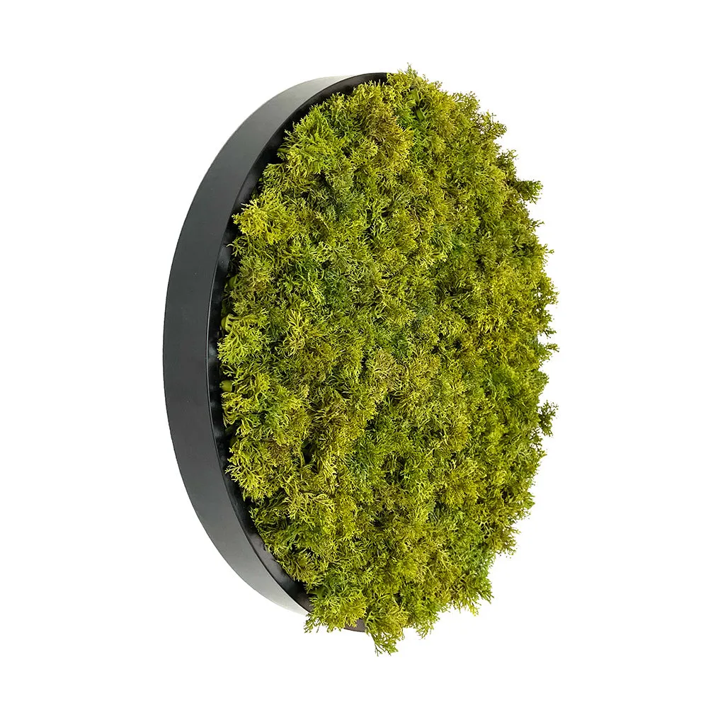 Artificial reindeer moss wall circular art panel MDF Black - 50cm