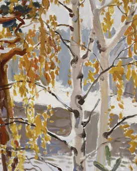 AUTUMN INTO WINTER