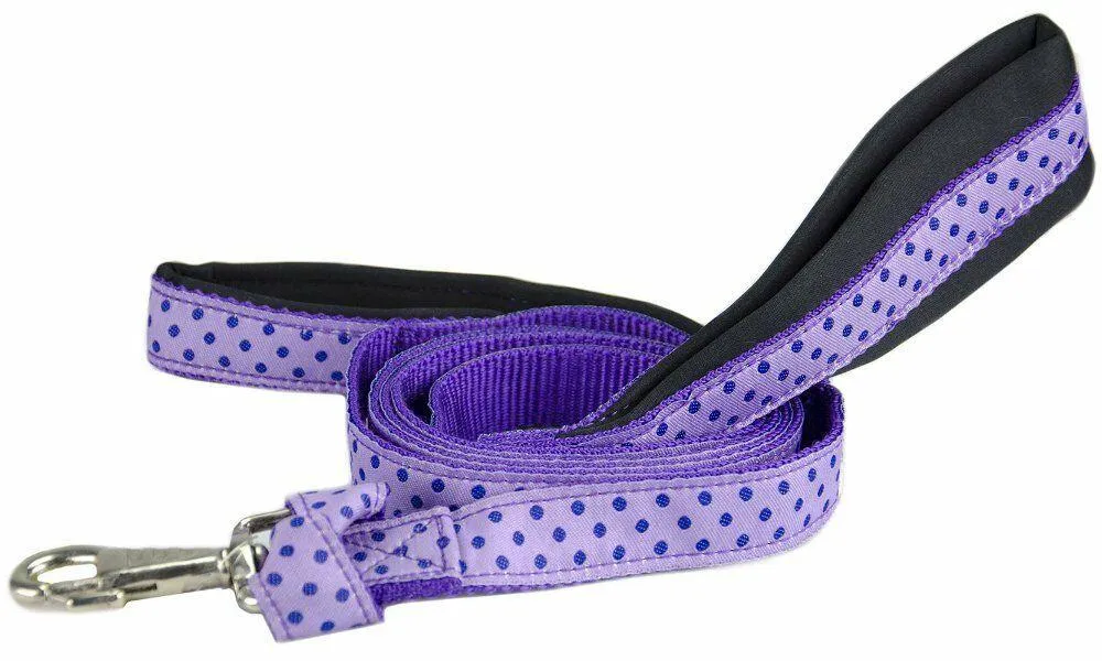 BARGAIN BIN Padded Double Handle Overlay Dog Leash Warranted Snap 1" X 6' Fun Designs