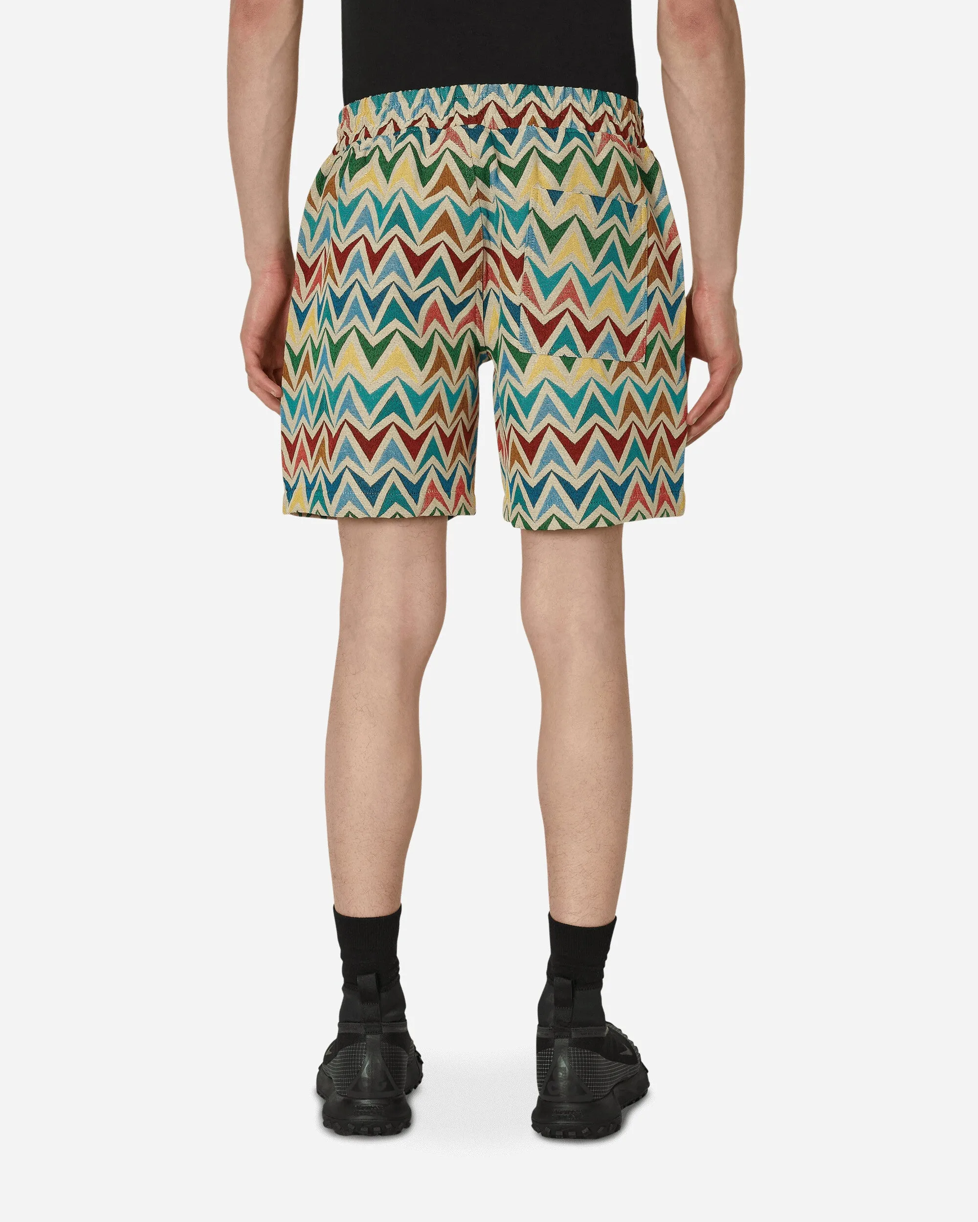 Basket Woven Shorts Multicolor