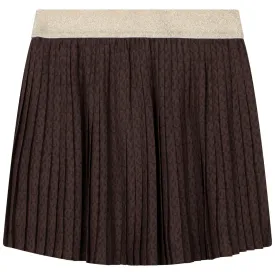 Brown Pleated Skirt