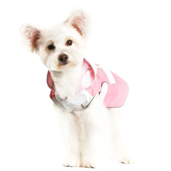 Bunny Dog Raincoat