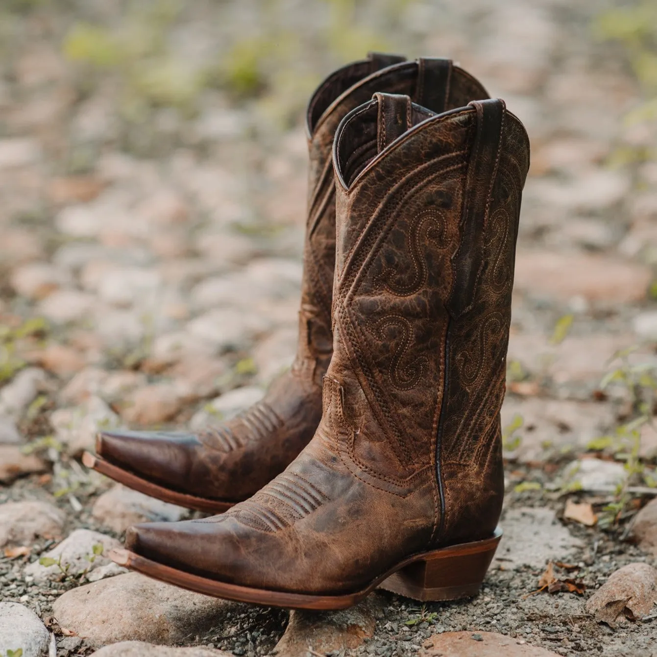 Cheyenne Cowgirl Boots | Women's Snipped Toe Leather Boots (M50041)