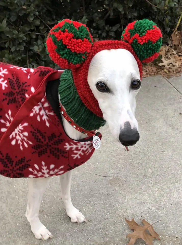 Christmas Pompom Hat