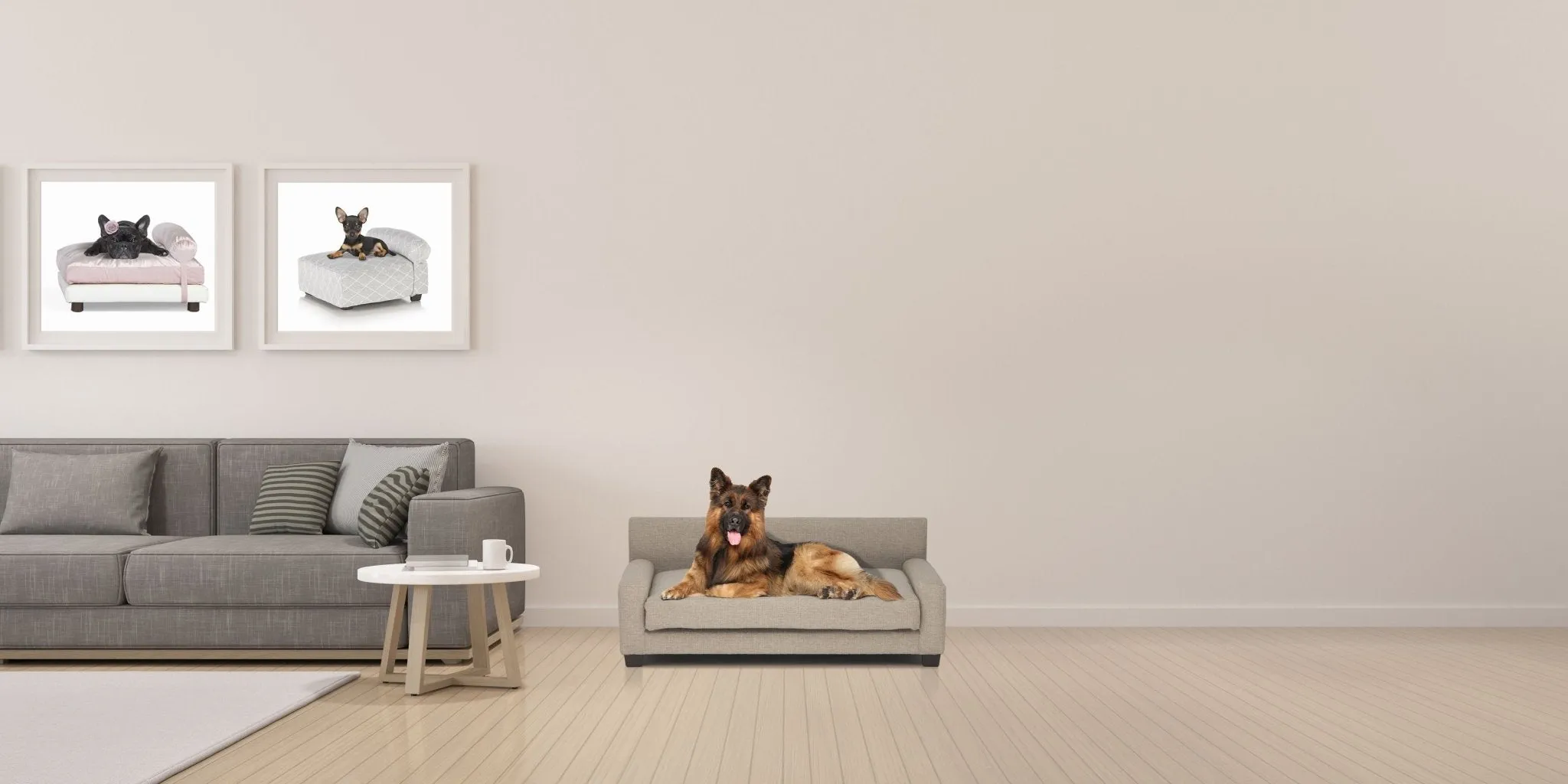 Club Nine Pets Metro Orthopedic Dog Bed in Oatmeal