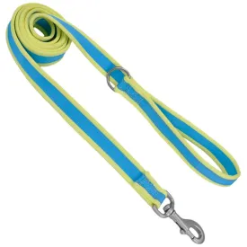 Coastal Pet Attire Pro Nylon Dog Leash, 6' x 1"