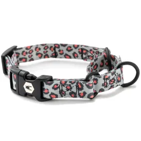 CoolCat MARTINGALE DOG COLLAR