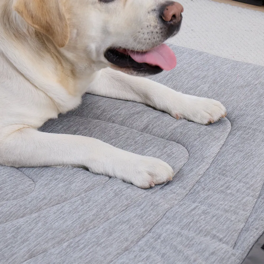 Cooling Comforter & Pet Mat Bundle