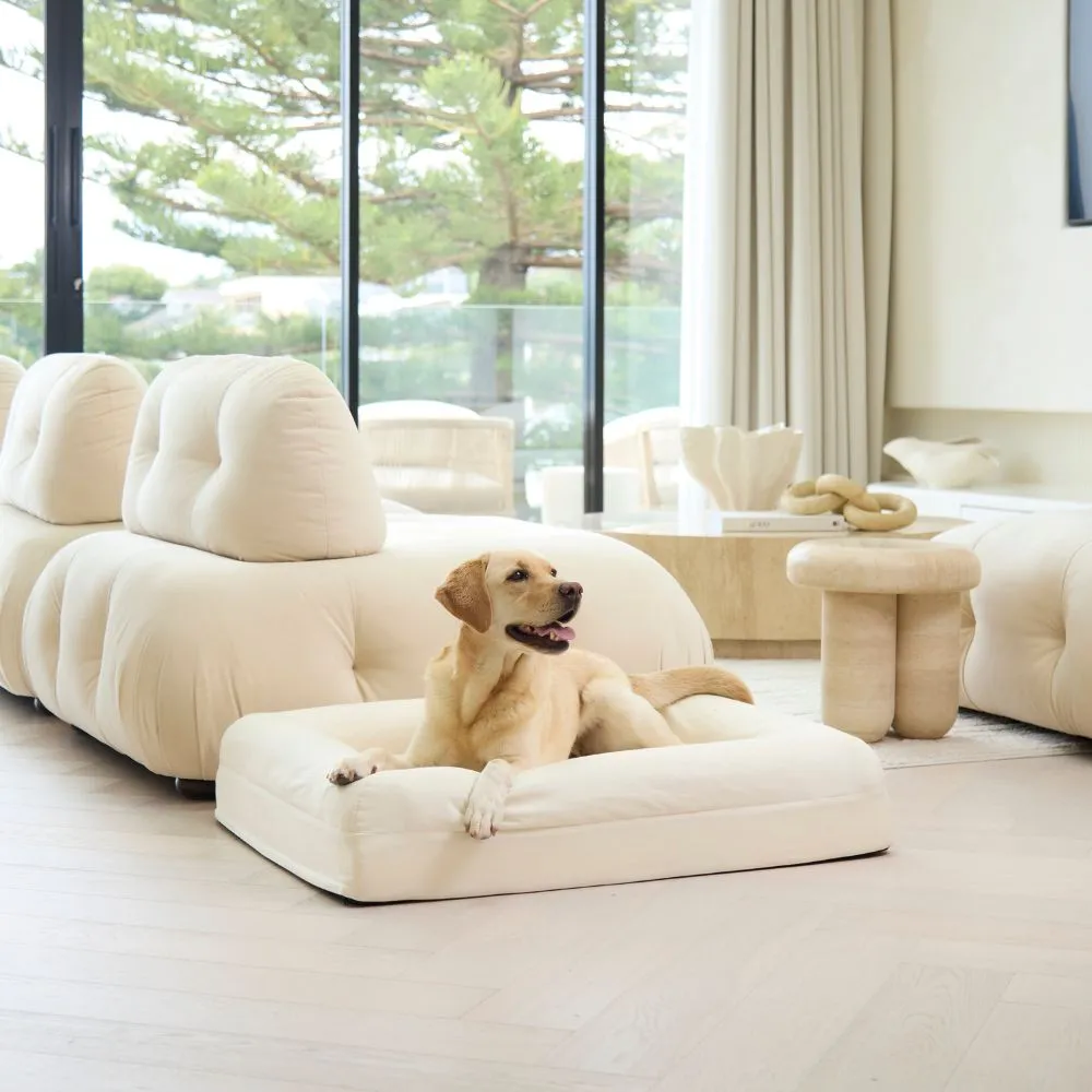 Cooling Dog Bed - Natural Memory Foam