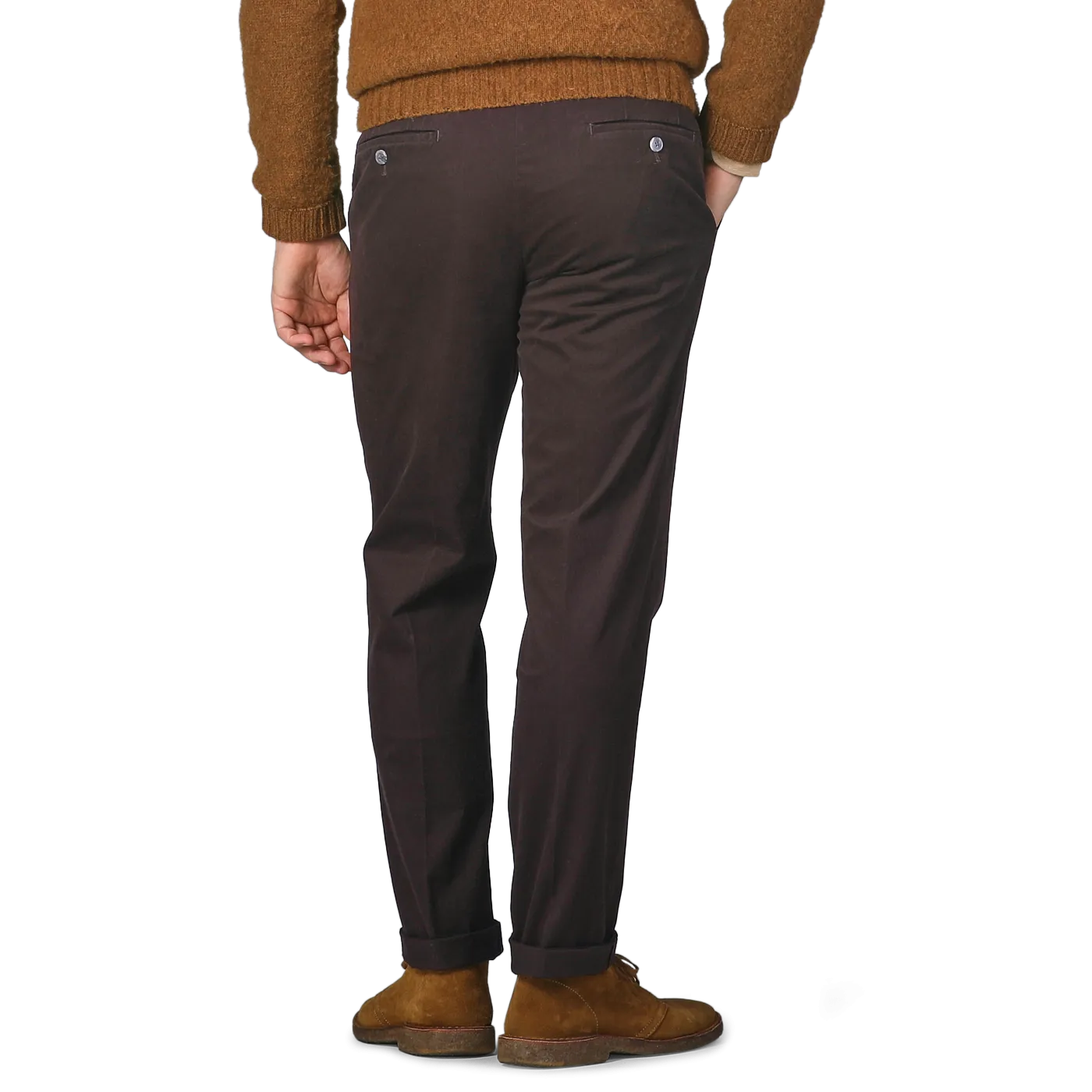 Dark Brown Cotton Stretch Regular Fit Chinos