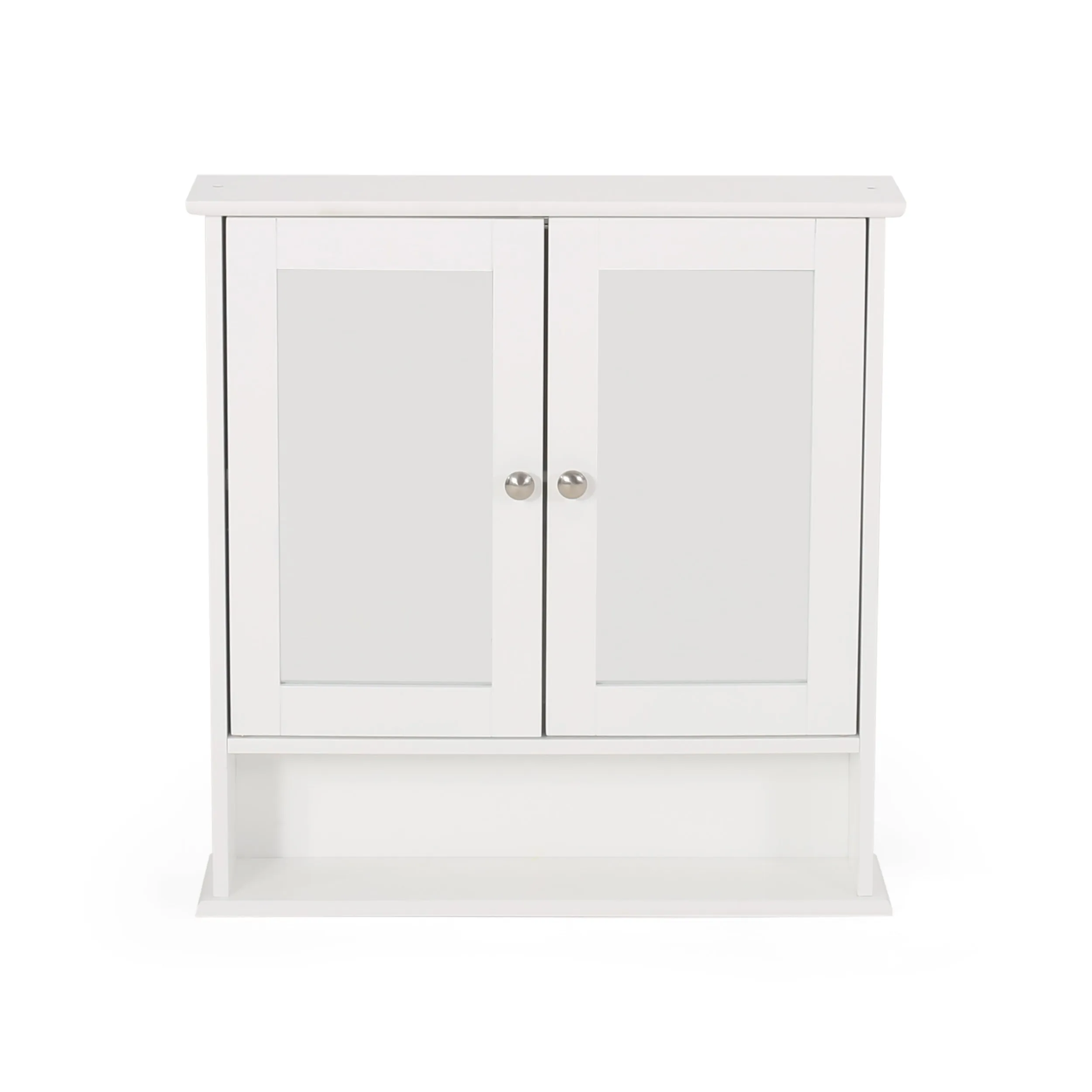 Dillyn Contemporary 2 Door Mirror Medicine Cabinet