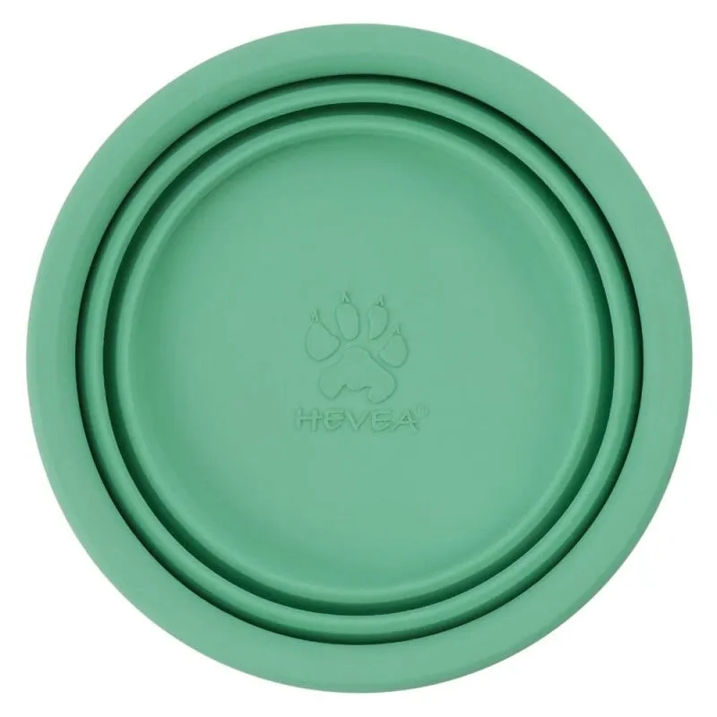 Dog Bowl Collapsible