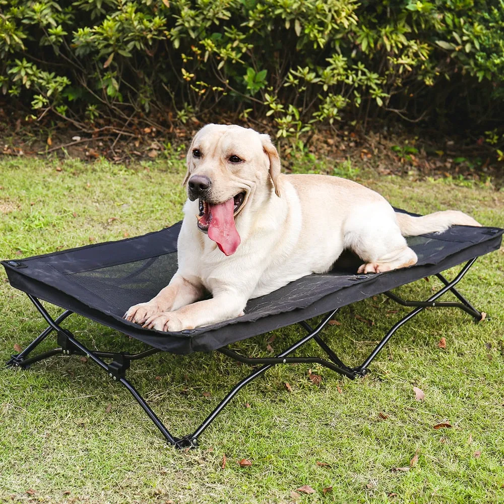 Dog Elevated Bed - Style A