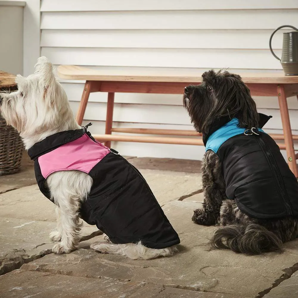 Dog Puffer Jacket - Bunty