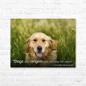 Dog Quote Canvas Wrap - “Dogs and angels are not...