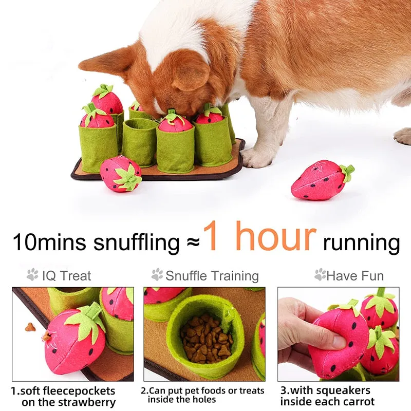 Dog Snuffle Mat - 11 Different Styles