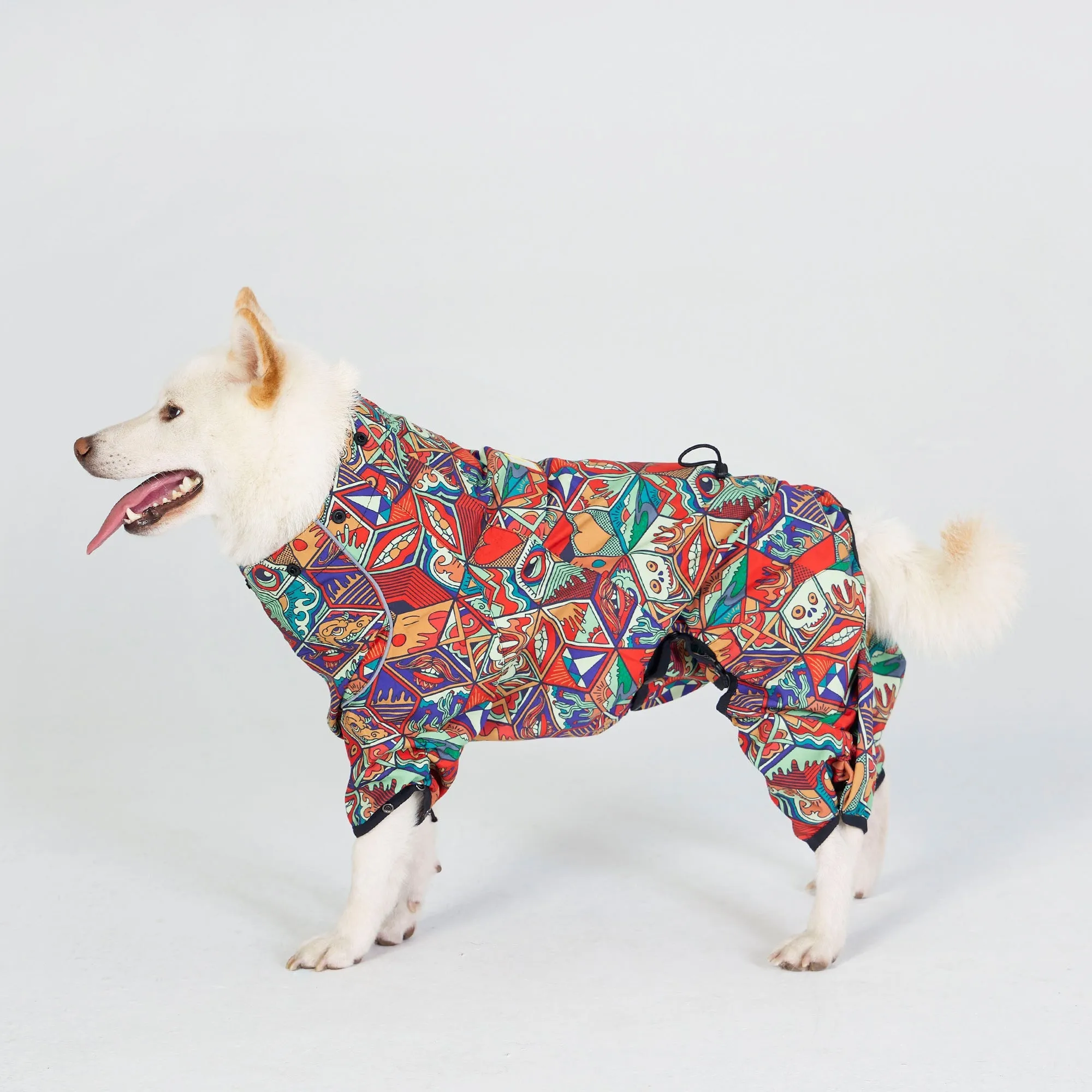 Dragon Icon Dog Raincoat