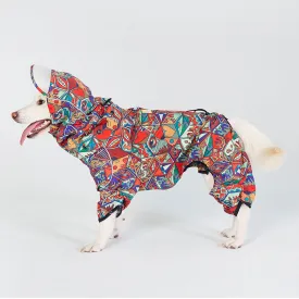 Dragon Icon Dog Raincoat