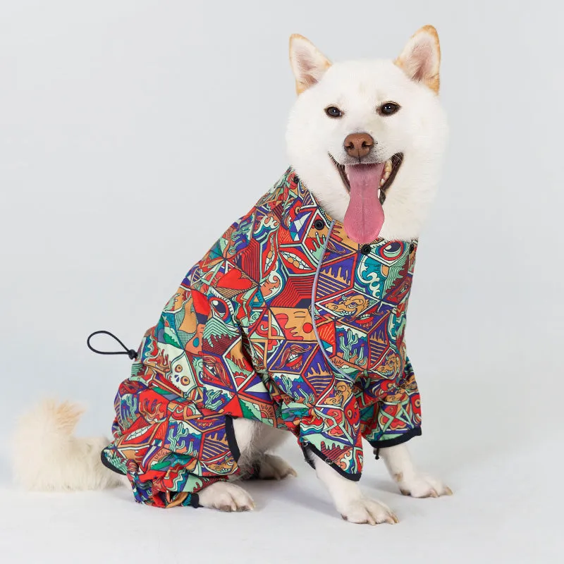 Dragon Icon Dog Raincoat