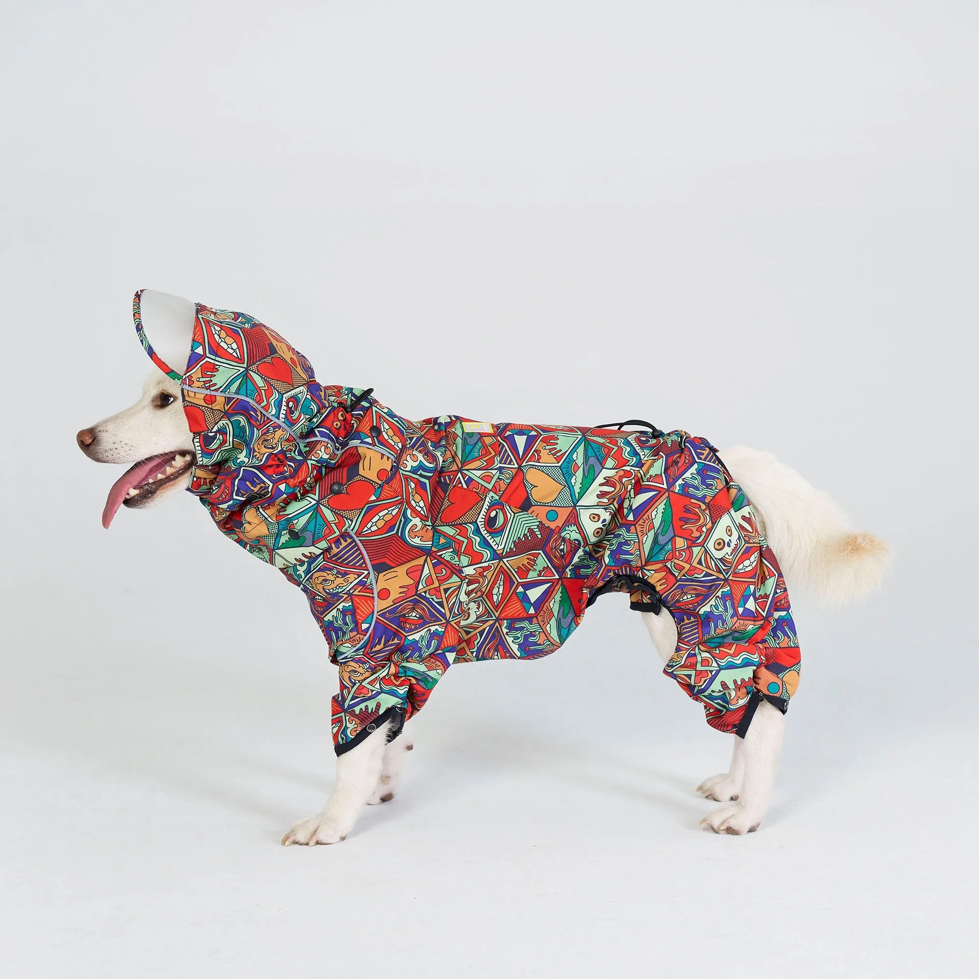 Dragon Icon Dog Raincoat