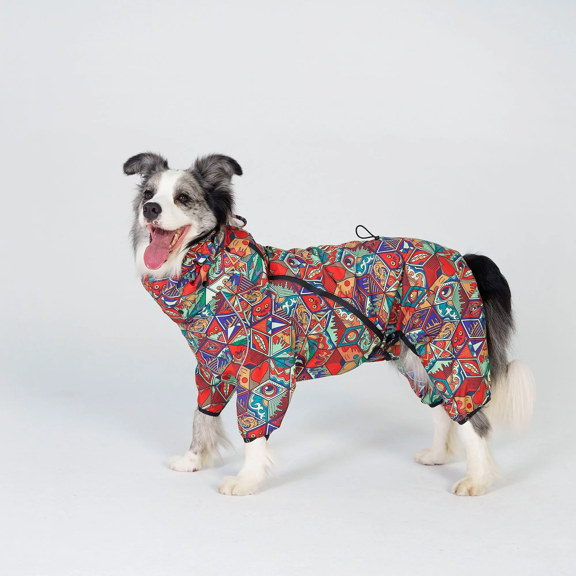 Dragon Icon Dog Raincoat