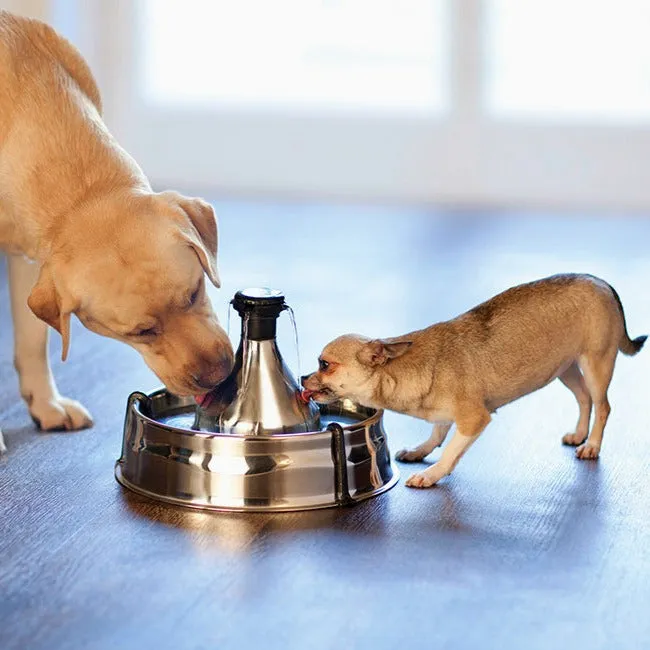 Drinkwell® 360 Stainless Steel Pet Fountain