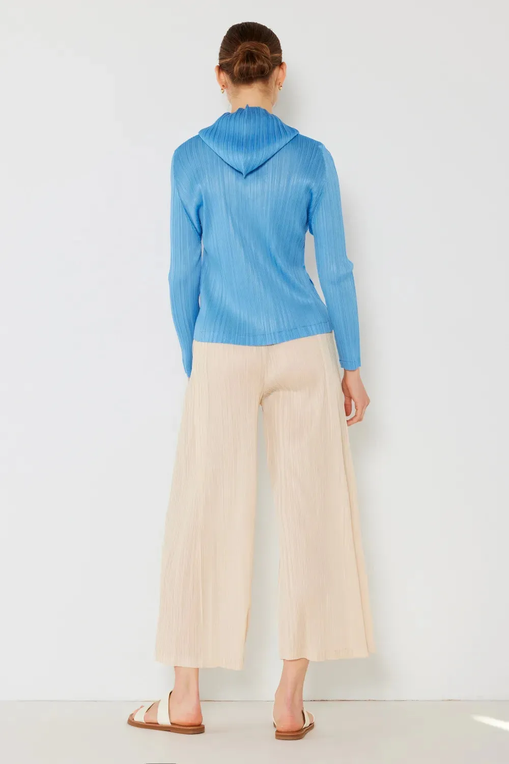 ed Wide-Leg Pants with Side Pleat Detail