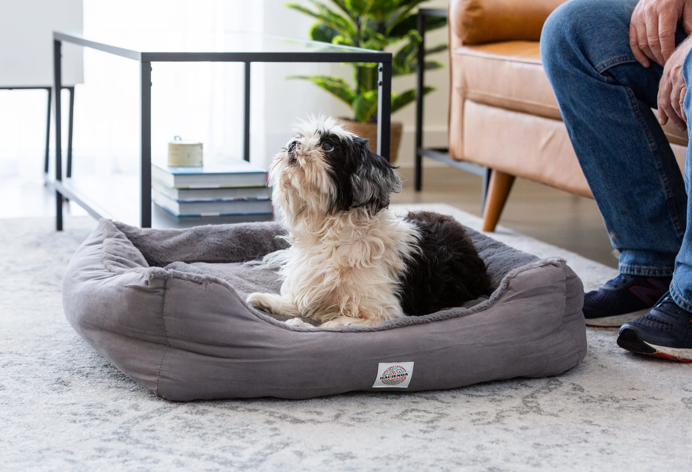 Electric Heated Pet Bed