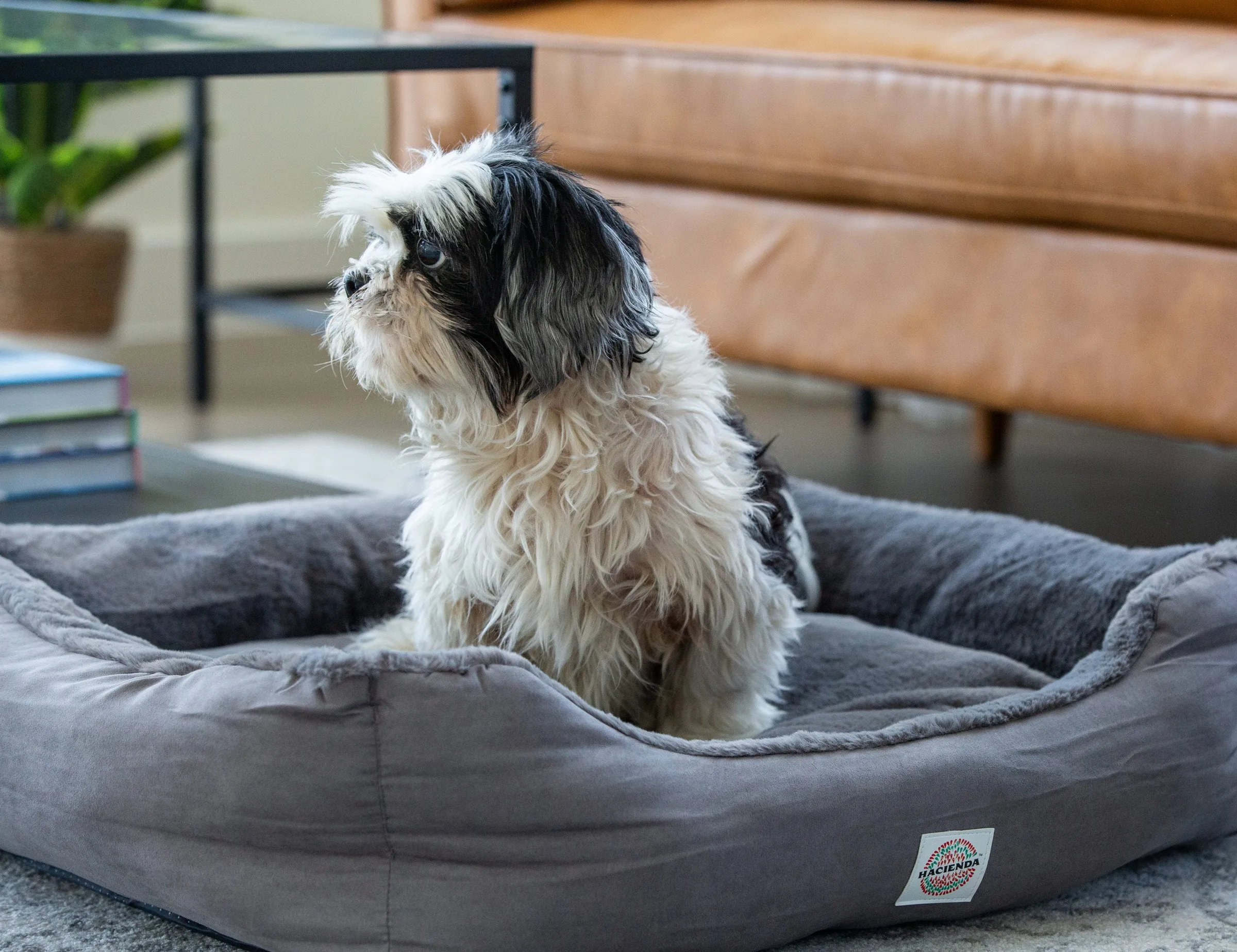 Electric Heated Pet Bed