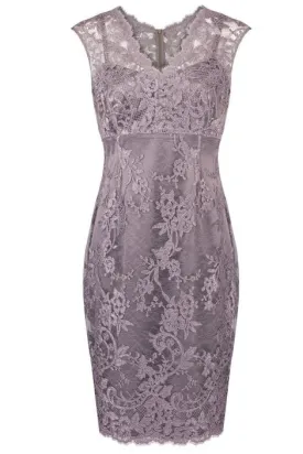 Elegant V Neck Sheath Short Lace Mother of the Bride Dress