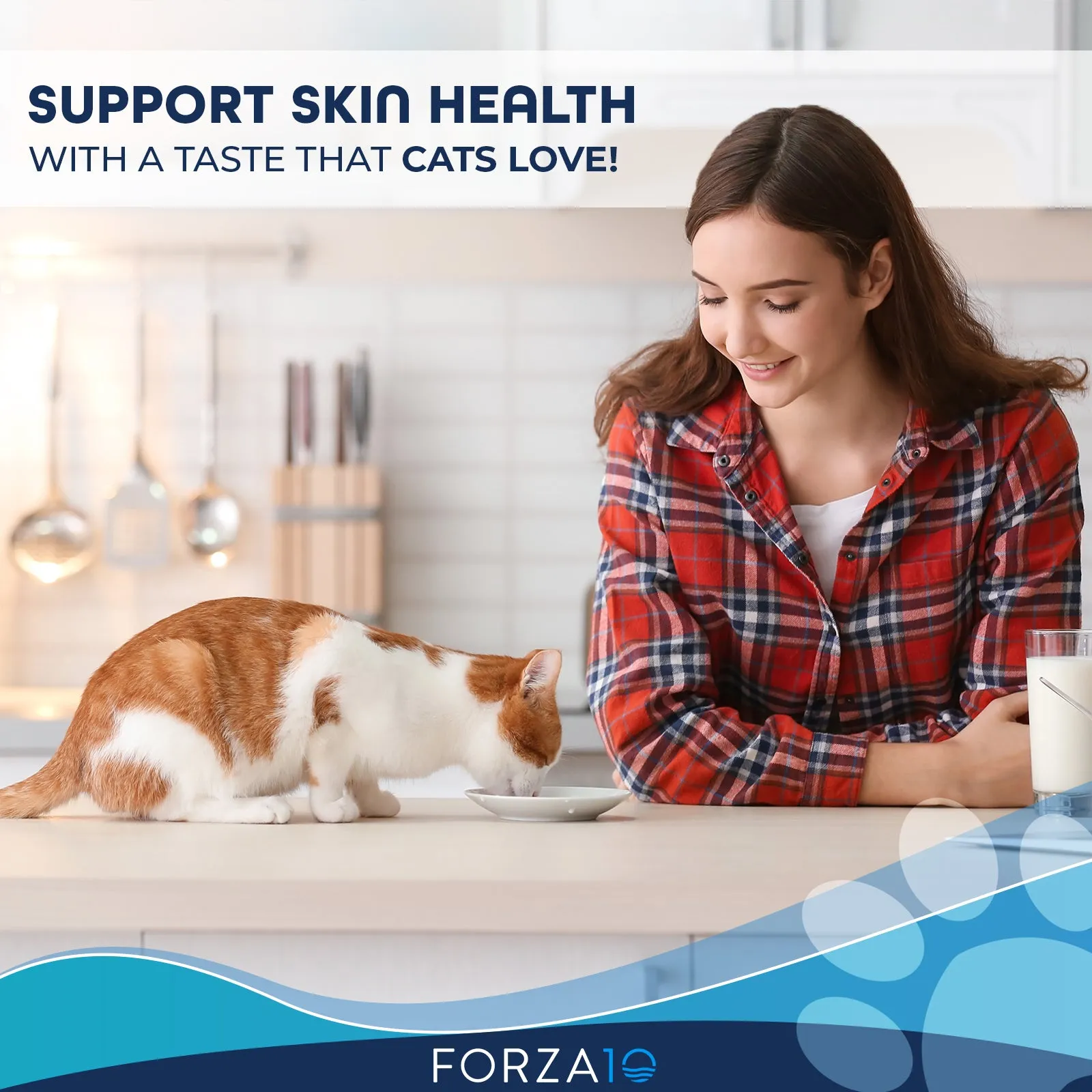 Forza10 Nutraceutic ActiWet Dermo Support Icelandic Fish Recipe Canned Cat Food