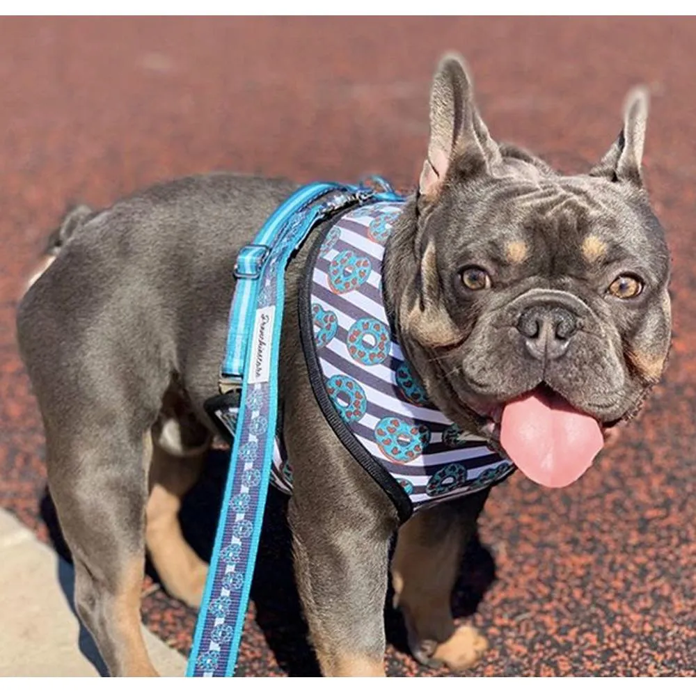 Frenchiestore Luxury Leash | Frenchie Love in Teal