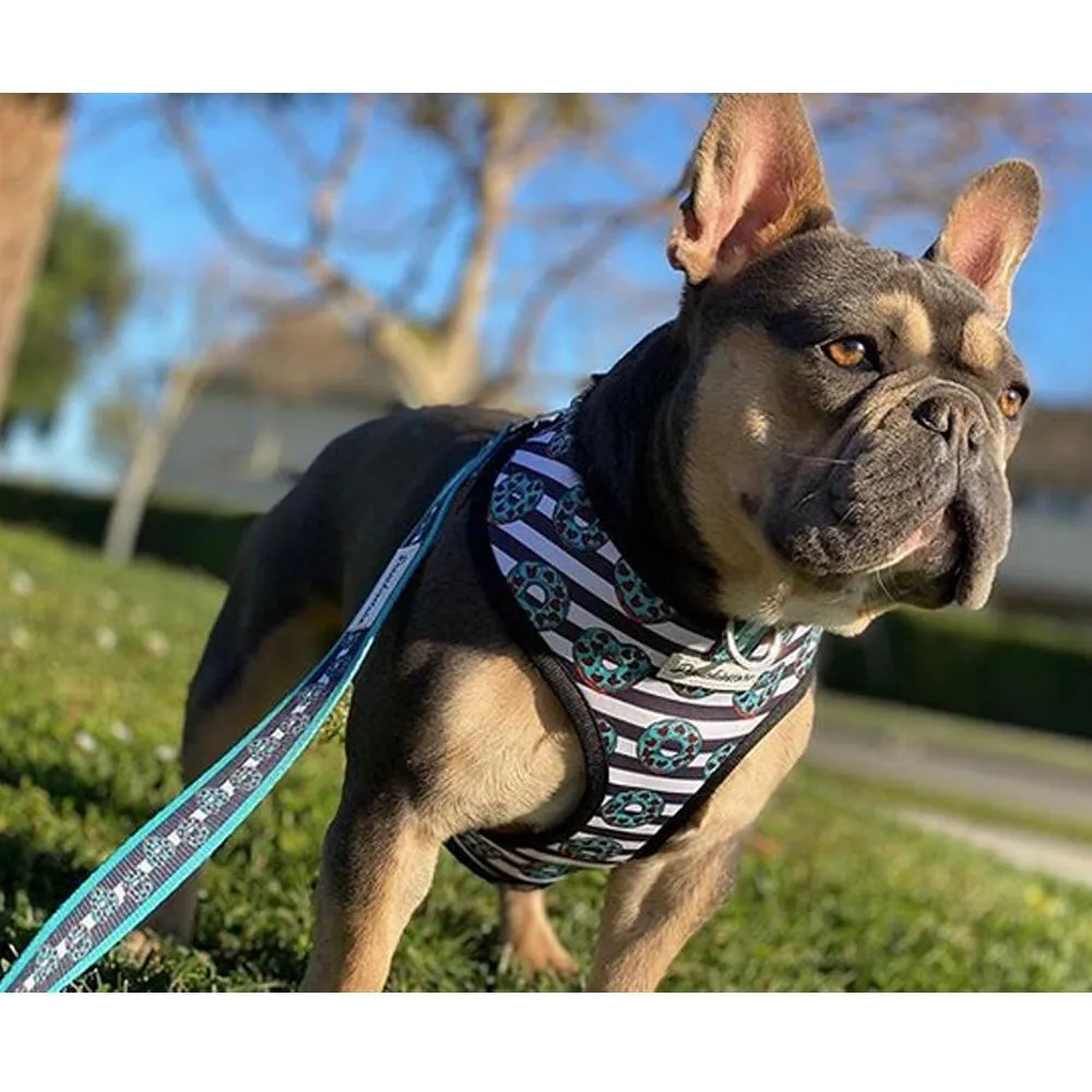 Frenchiestore Luxury Leash | Frenchie Love in Teal