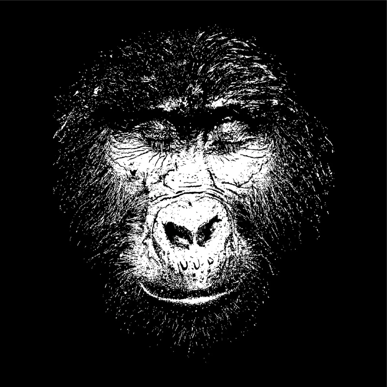 Gorilla (Pullover)