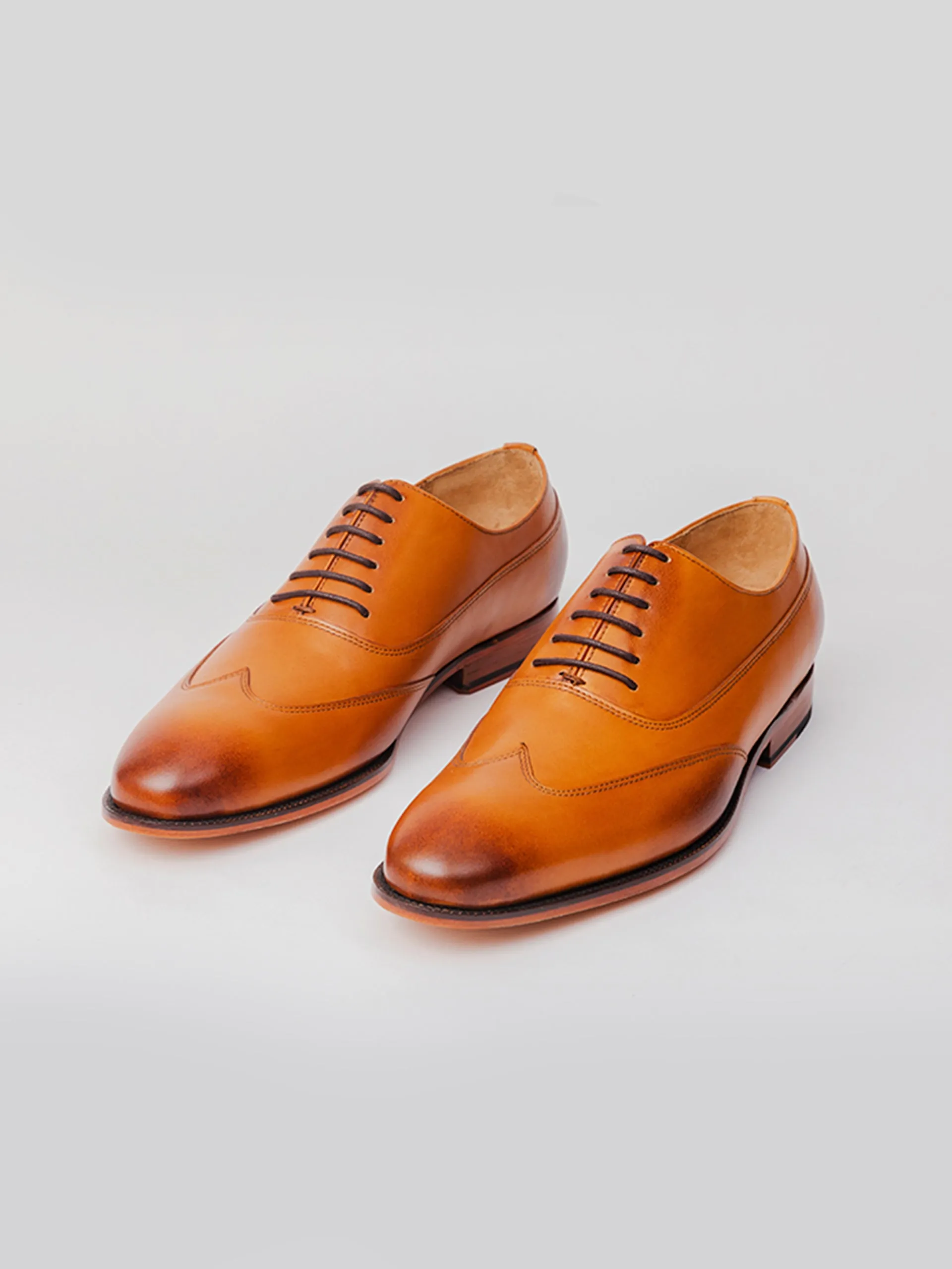 Hamilton Oxford - Tan