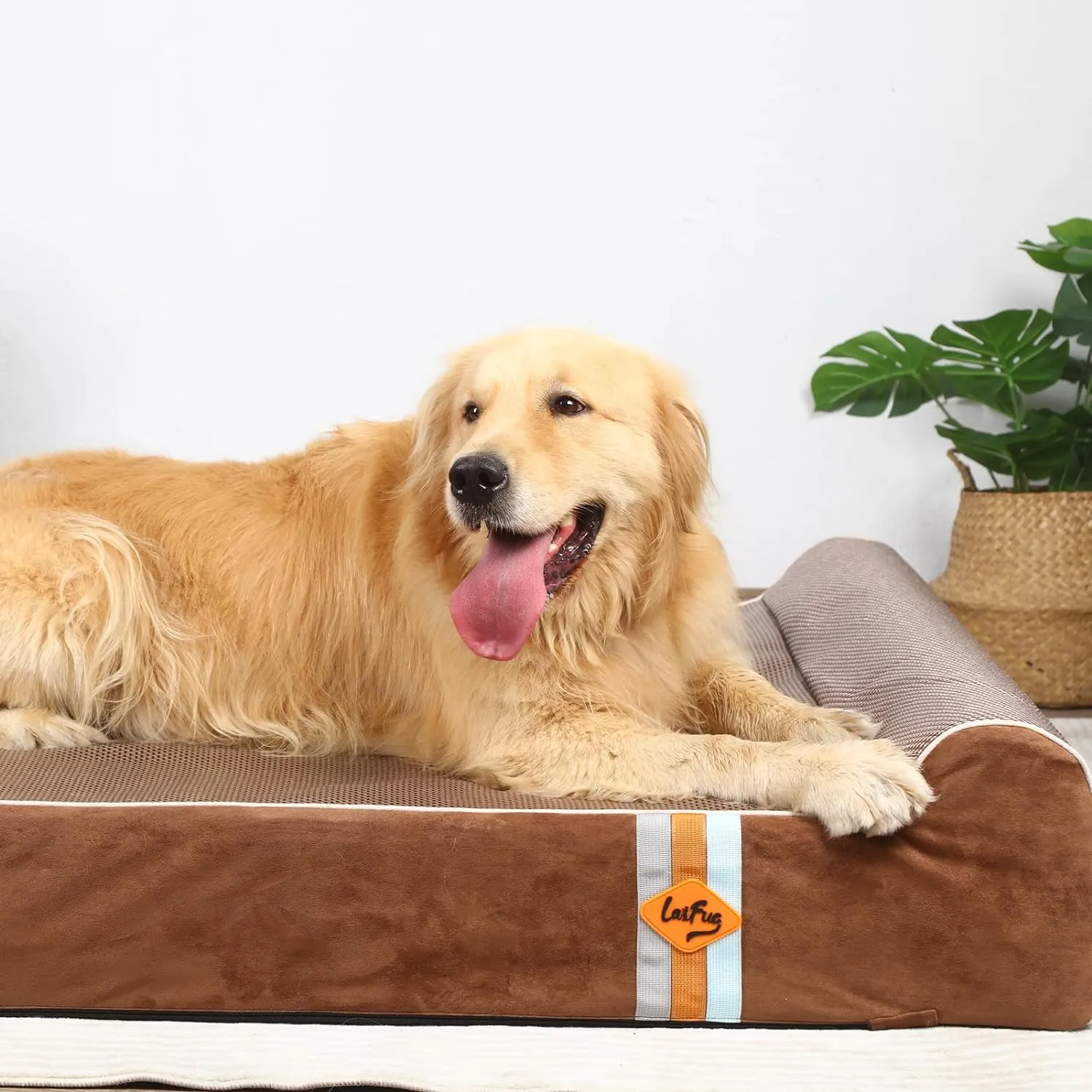 Laifug Jumbo Dog Bed（Summer）