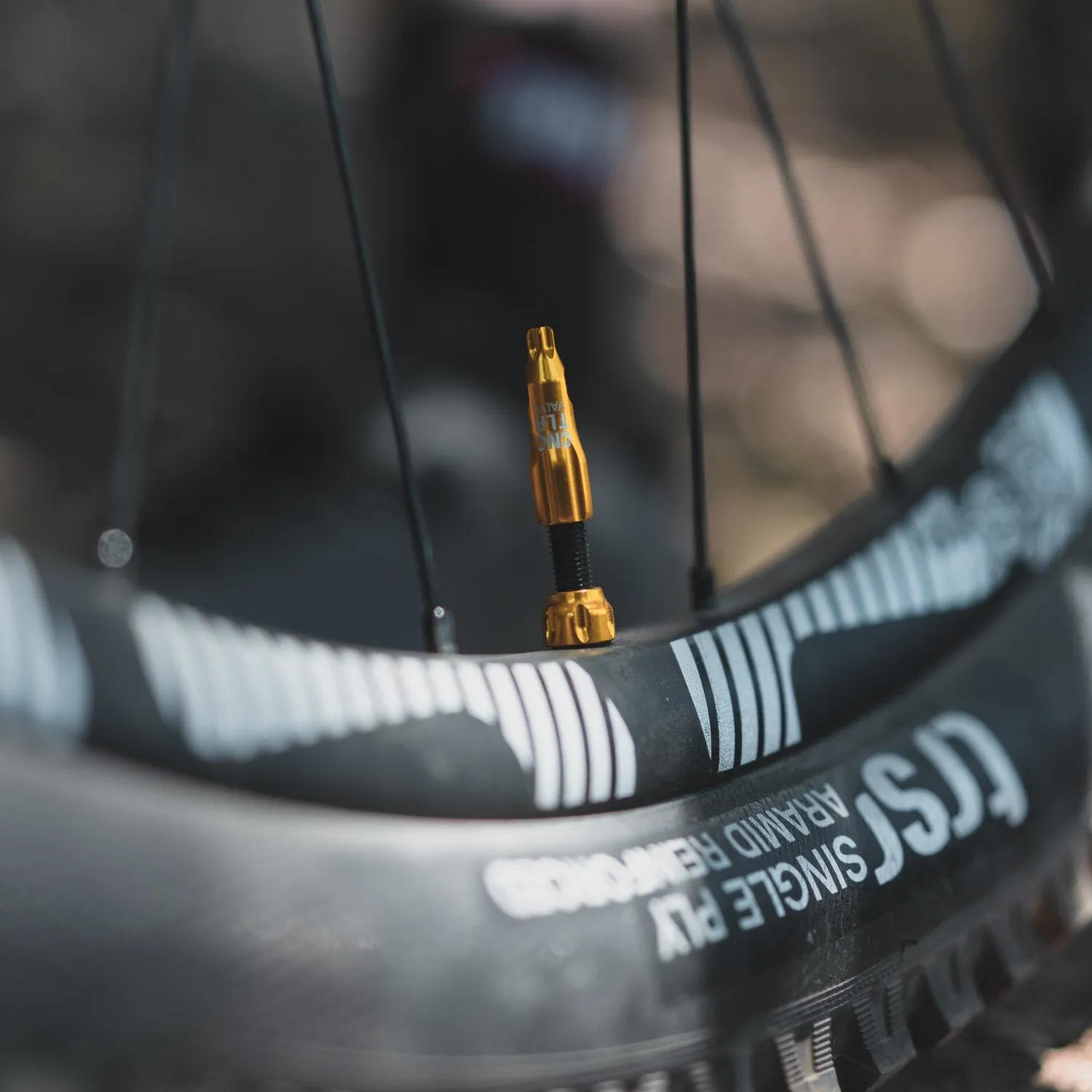 Lezyne Tlr Tubeless Valve Presta 60Mm Gold