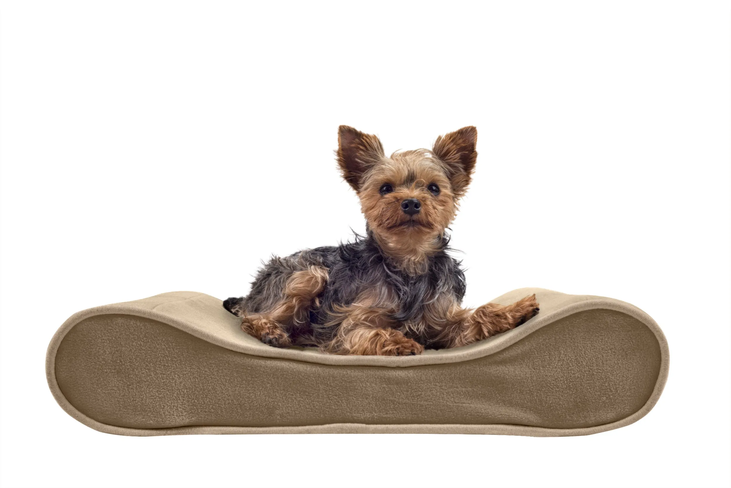 Luxe Lounger Contour Dog Bed - Microvelvet