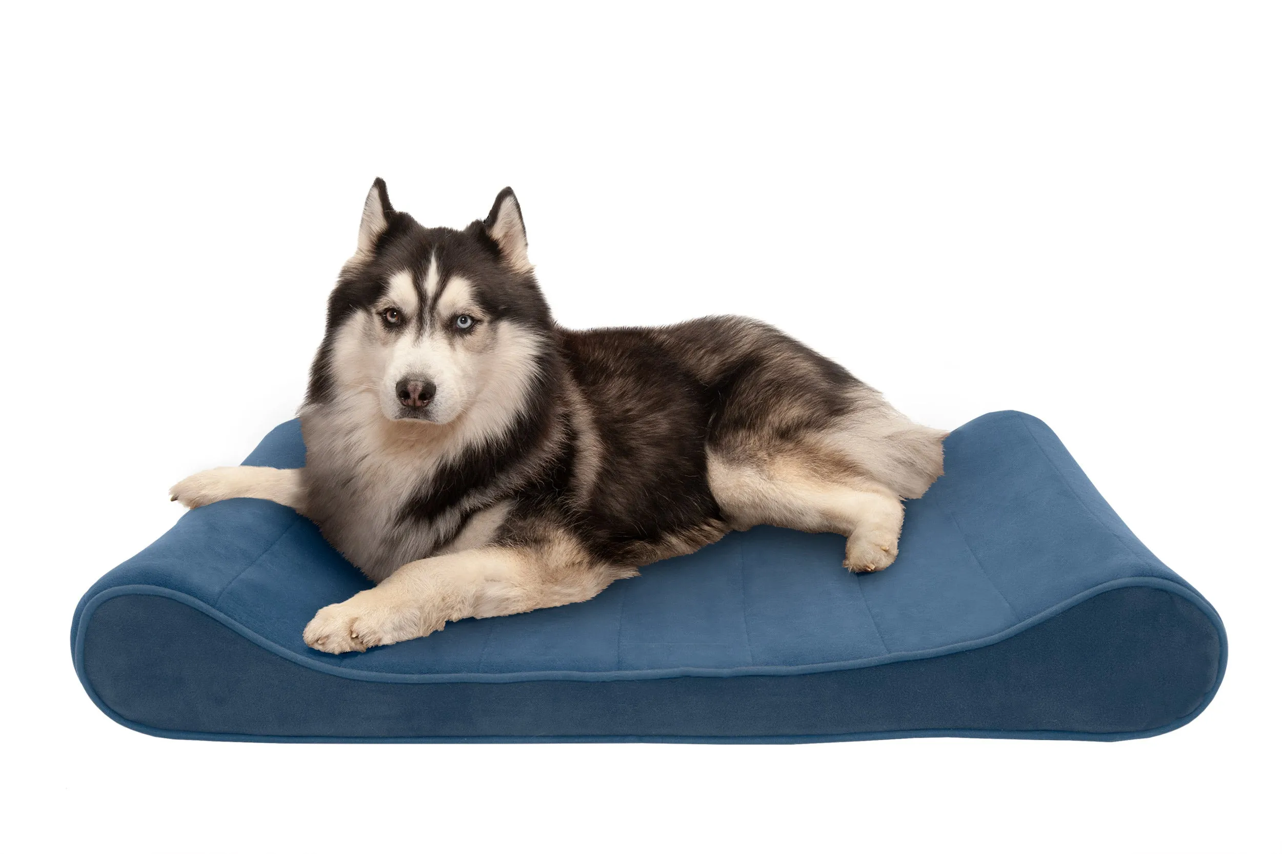 Luxe Lounger Contour Dog Bed - Microvelvet