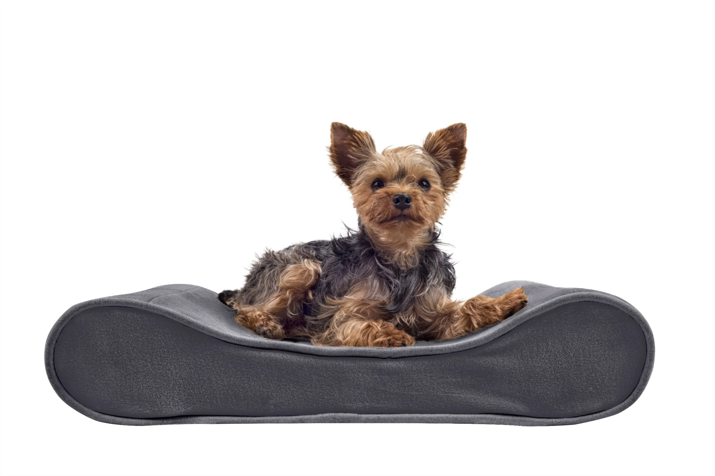 Luxe Lounger Contour Dog Bed - Microvelvet